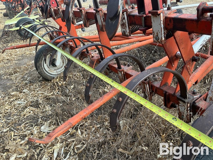 international-3-image-16