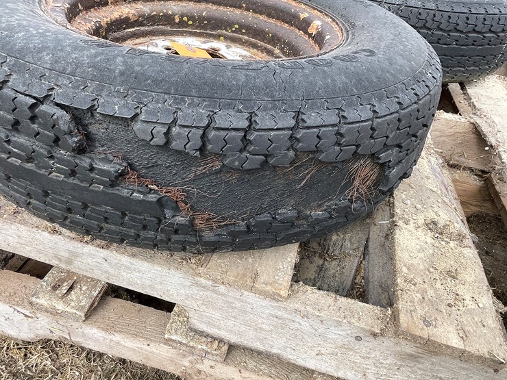 #7259-•-(2)-marathon-radial-tires-on-rims-image-6