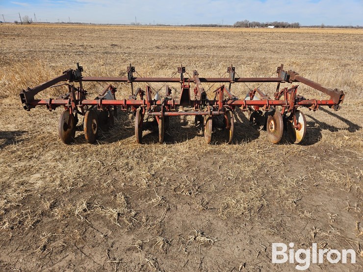 international-470-image-2