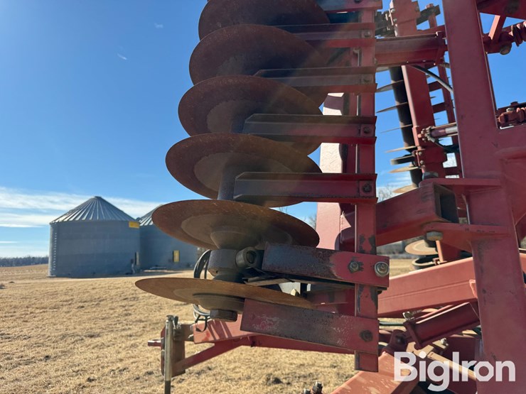 sunflower-4232-image-20