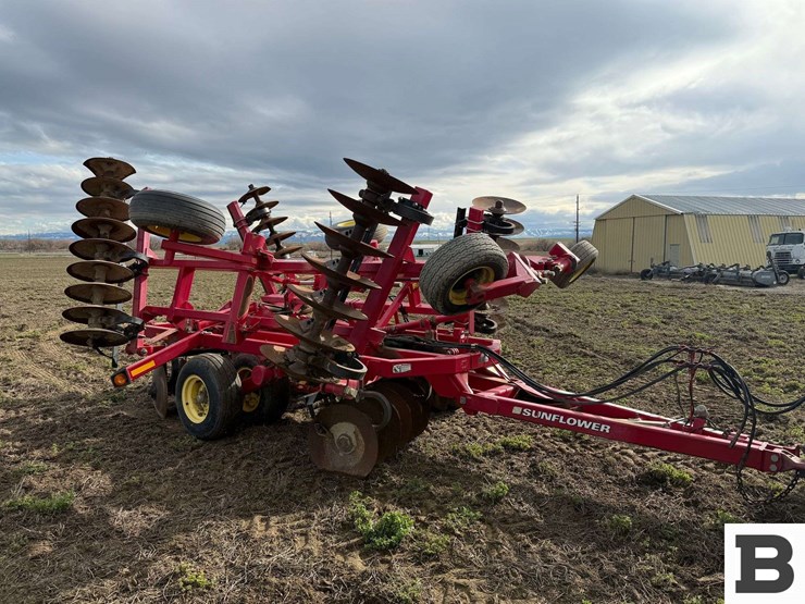 2010-sunflower-1234-18-image-8