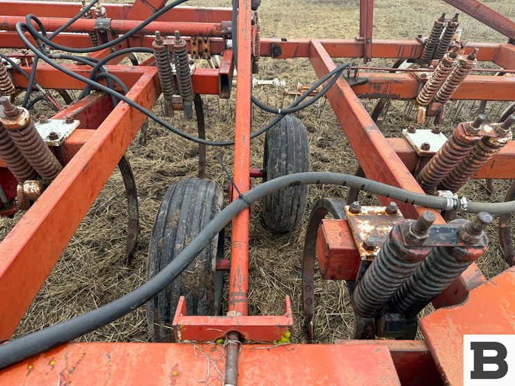 international-55-image-18