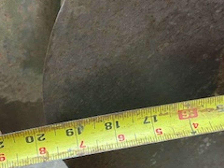 sunflower-4411-image-27