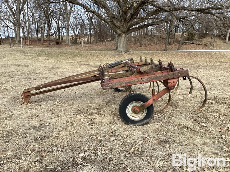 international-13-image-8