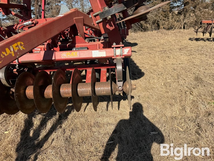 sunflower-4232-image-17