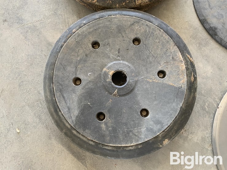 sunflower-9435-image-12