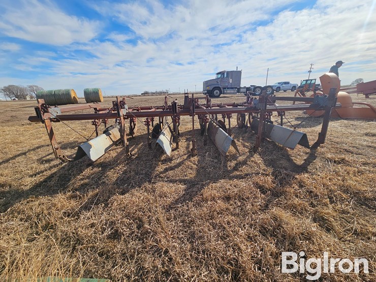 international-470-image-6