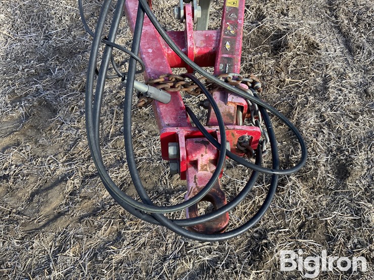 2011-sunflower-6333-image-16