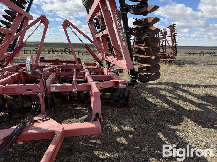 sunflower-1434-36-image-18