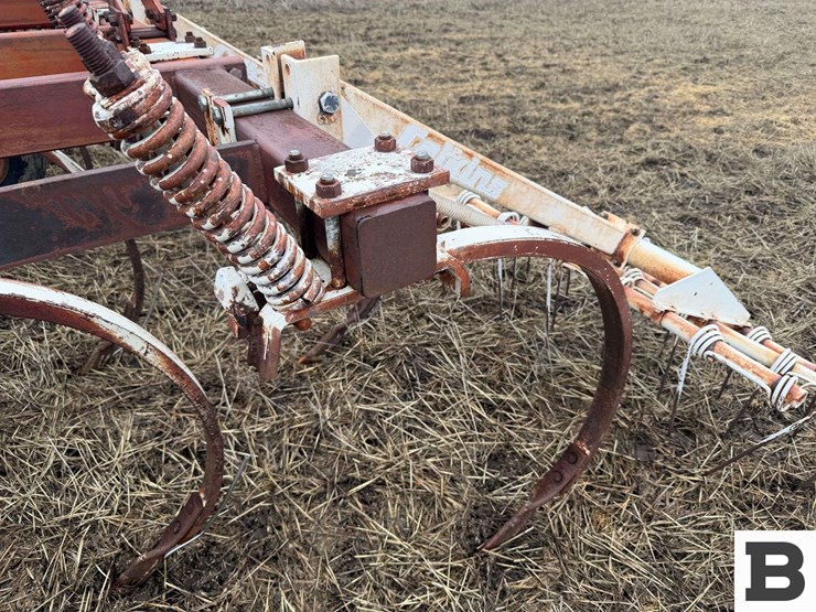 international-55-image-19