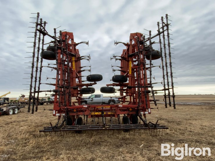 sunflower-5652-image-6