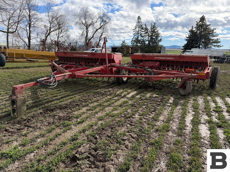 international-10-image-2