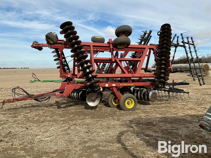 sunflower-1434-29-image-8