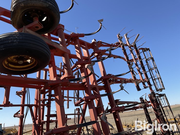 sunflower-6432-33-image-18