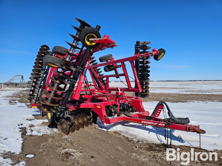 sunflower-1435-image-3