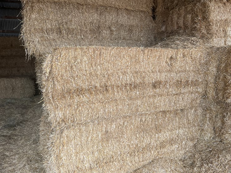#7416-•-(30)-big-square-bales-of-wheat-straw-(rice-lake,-wi)-image-5