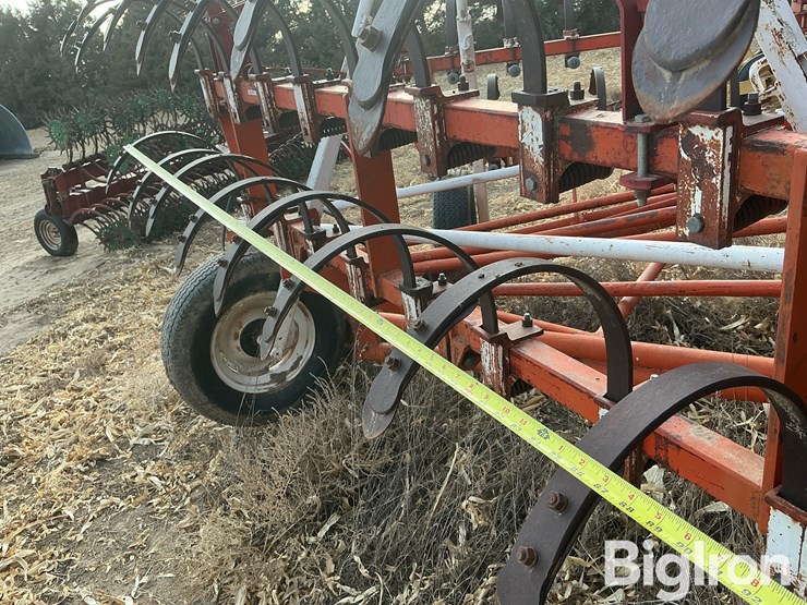 international-3-image-14