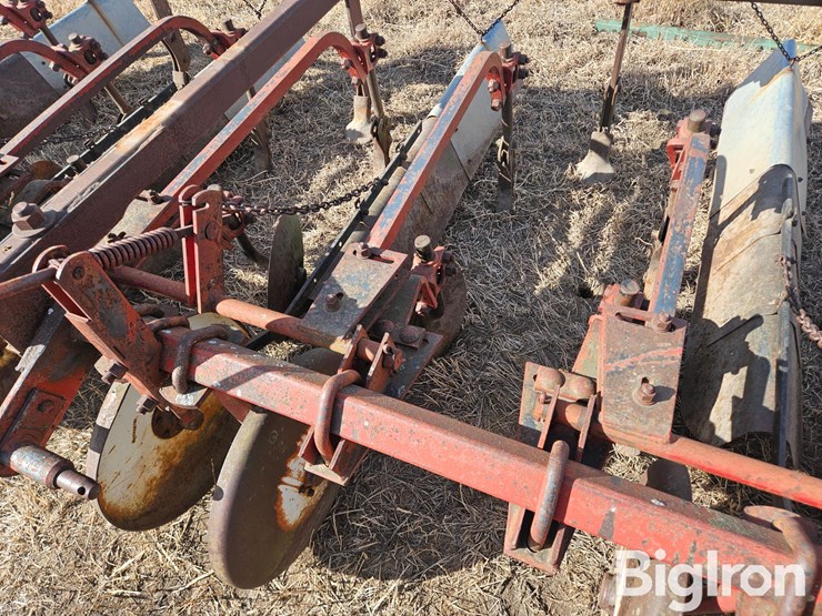 international-470-image-13