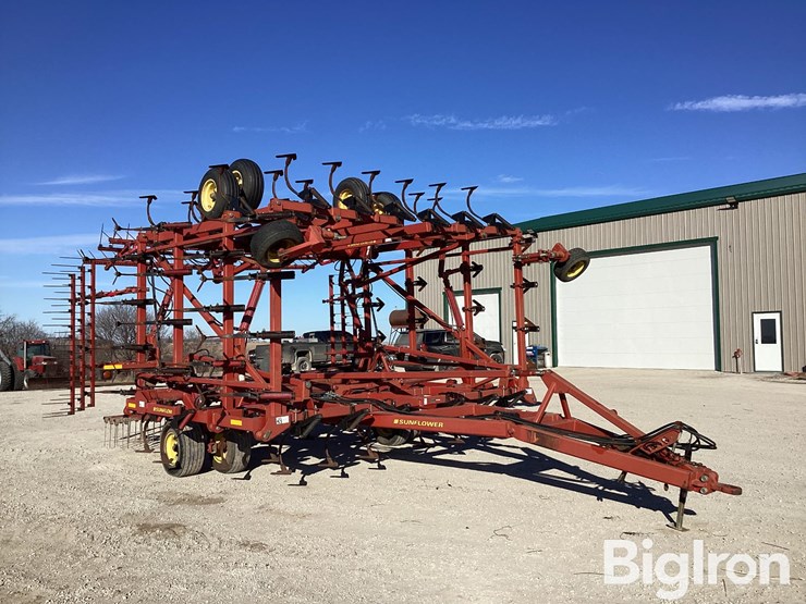 sunflower-5135-42-image-3