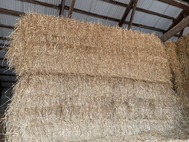 #7417-•-(30)-big-square-bales-of-wheat-straw-(rice-lake,-wi)-image-1