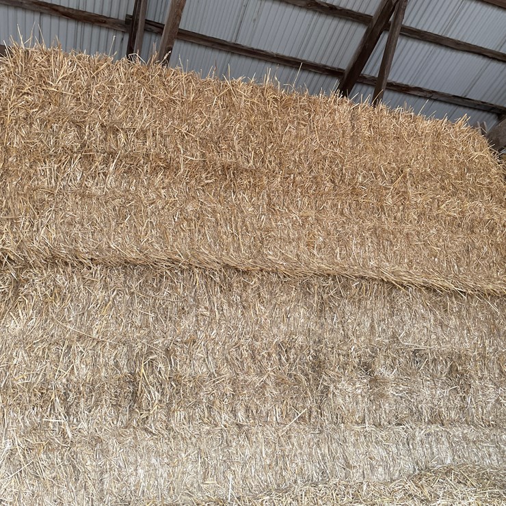 #7417 • (30) Big Square Bales of Wheat Straw (Rice Lake, WI)