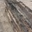 #2016-•-rail-road-ties-7"-x-9"-x-8.5ft-(bundle-of-16)-#2-quality-image-6