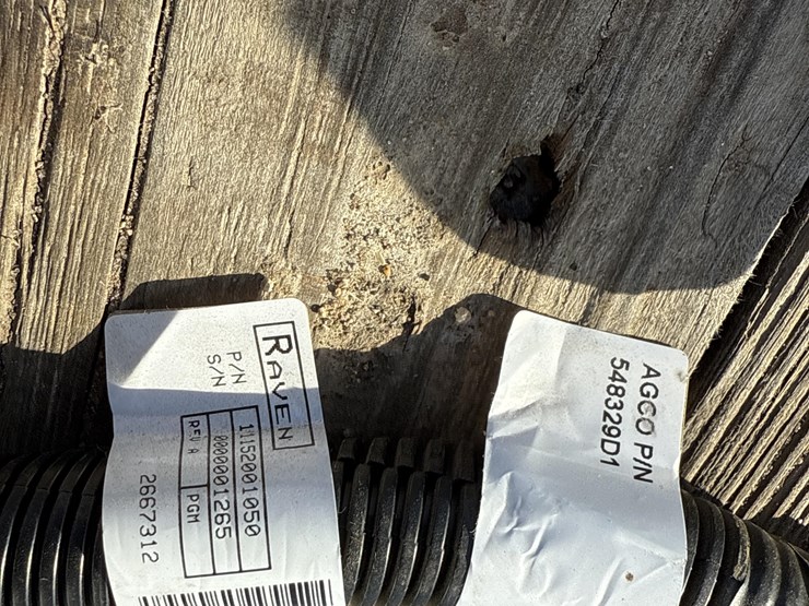 raven-viper-image-14