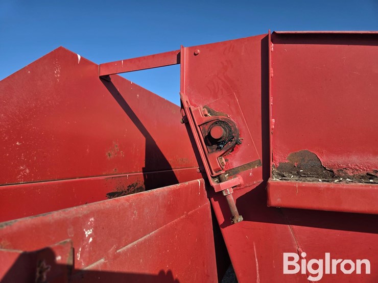 kelly-ryan-4x10-image-20