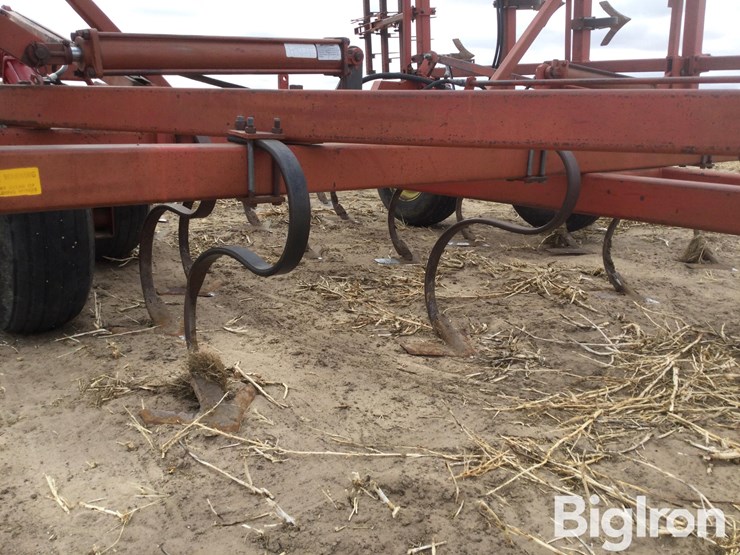 sunflower-5531-image-14