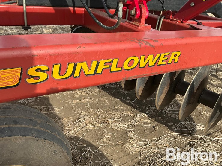 sunflower-1434-29-image-20