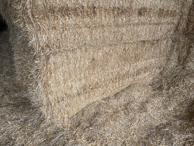 #7416-•-(30)-big-square-bales-of-wheat-straw-(rice-lake,-wi)-image-6