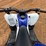 yamaha-raptor-90-image-10