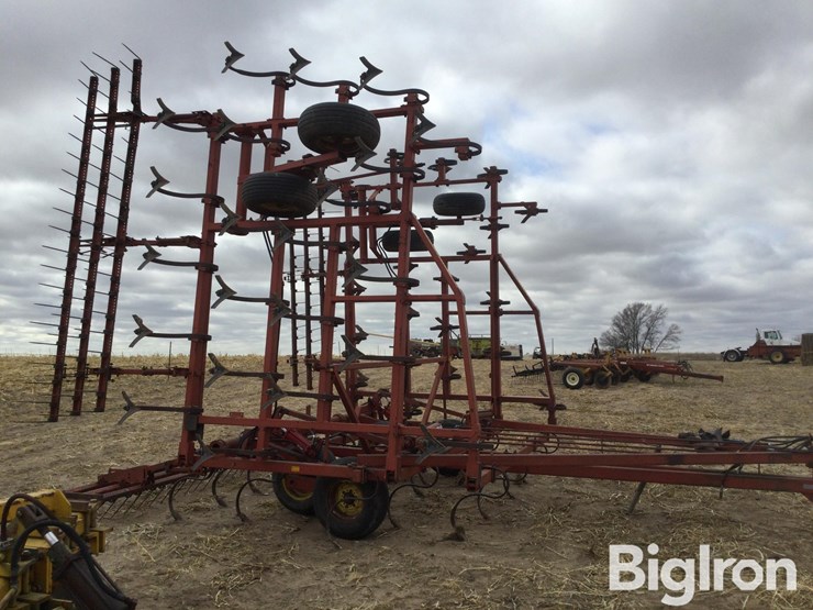 sunflower-5531-image-4