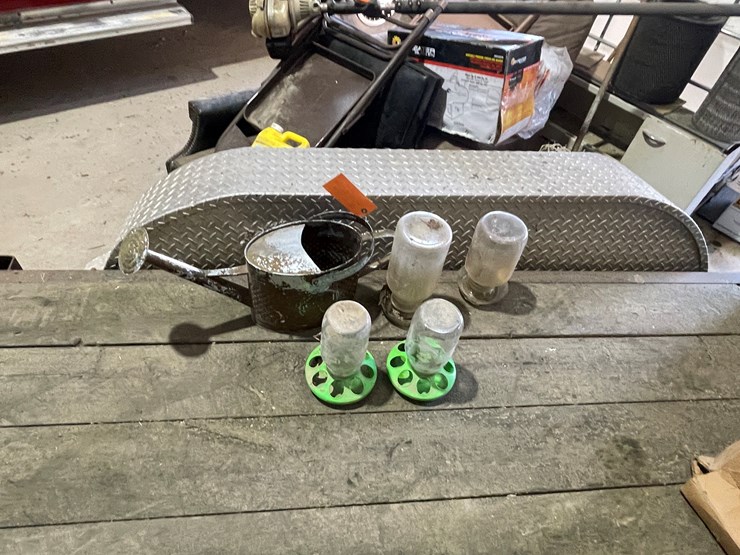 #7229-•-(2)-glass-chicken-waters-image-5