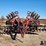2011-case-ih-870-ecolo-tiger-9-shank-disk-ripper-image-2