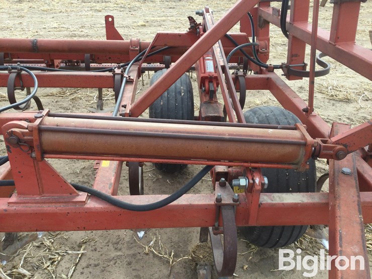 sunflower-5531-image-13