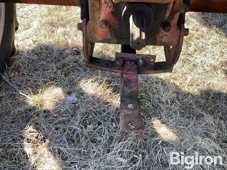 international-c-image-9