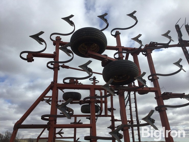 sunflower-5531-image-20