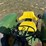 john-deere-2840-image-41