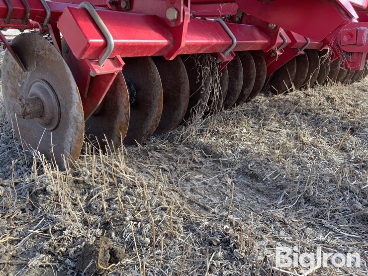 2011-sunflower-6333-image-19