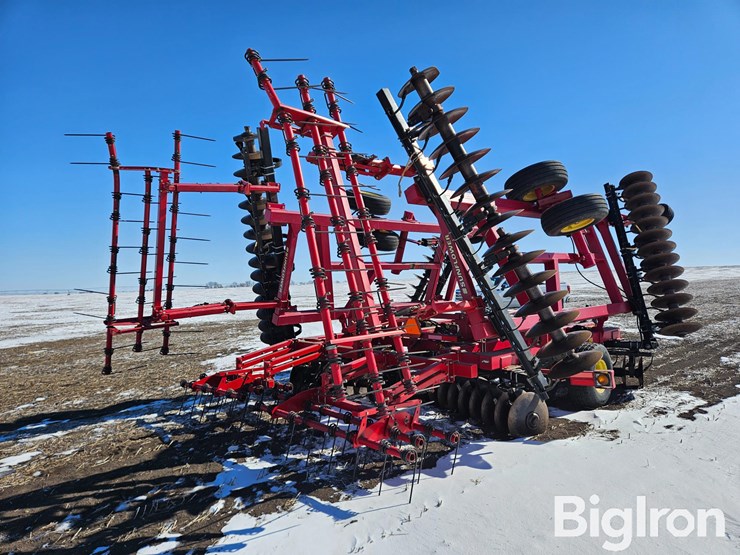 sunflower-1435-image-5