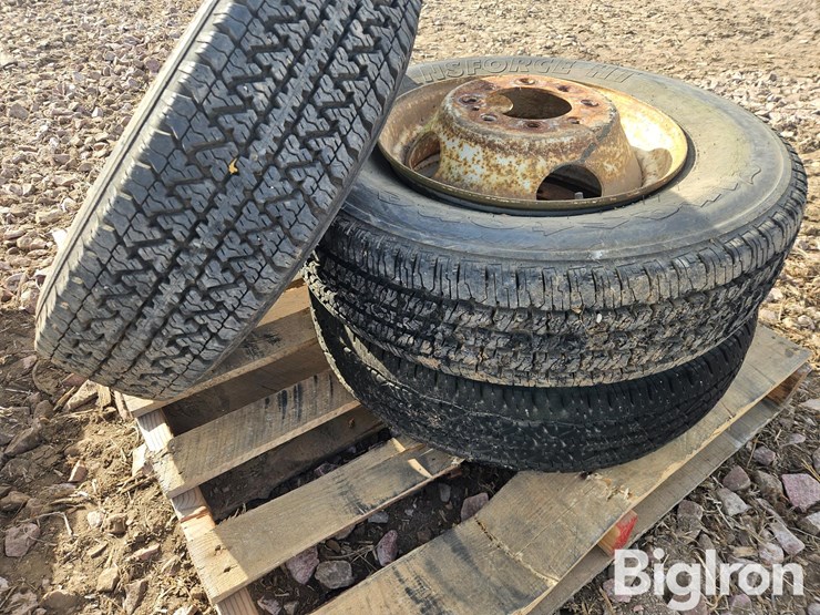 16.5"-tires-on-8-bolt-steel-dually-rims-image-14