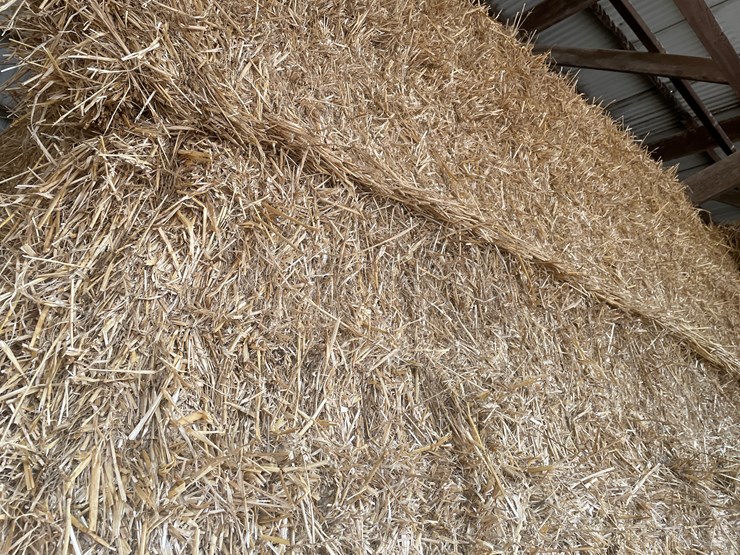 #7416-•-(30)-big-square-bales-of-wheat-straw-(rice-lake,-wi)-image-8