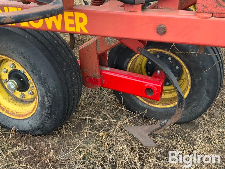 sunflower-5652-image-17