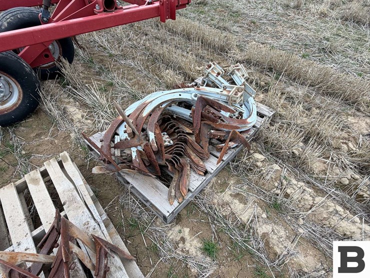 wil-rich-4830-image-38