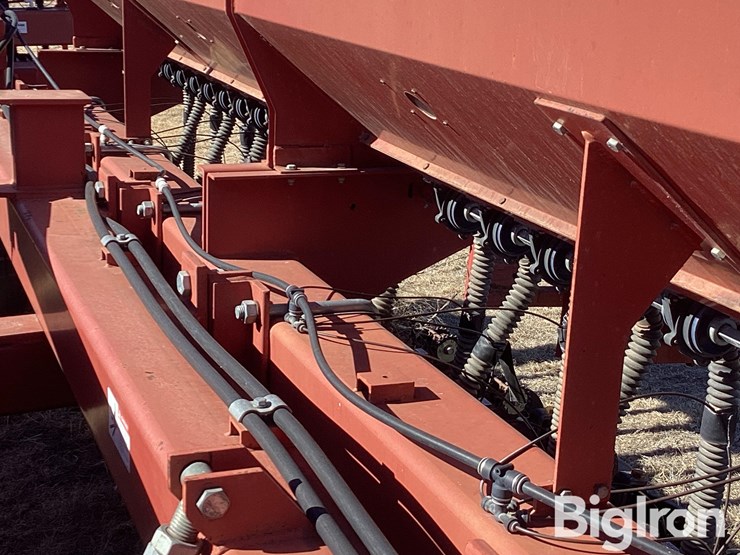 sunflower-9432-40-image-16