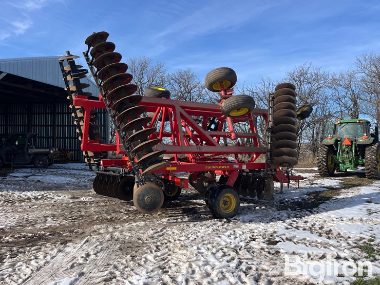 sunflower-1434-26-image-5