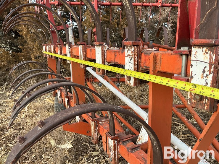 international-3-image-12