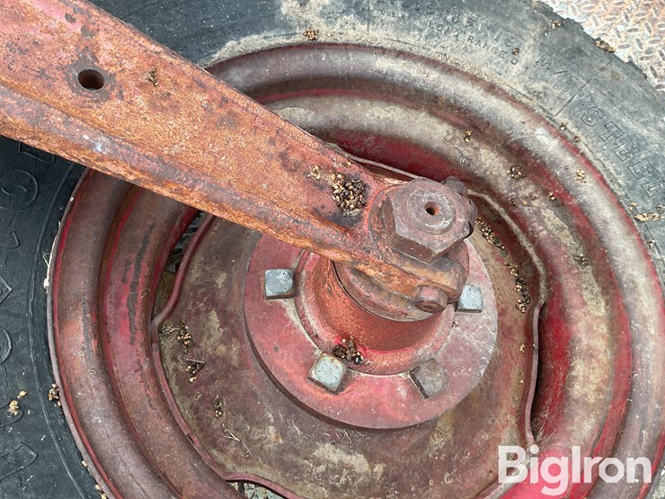 international-m-image-10