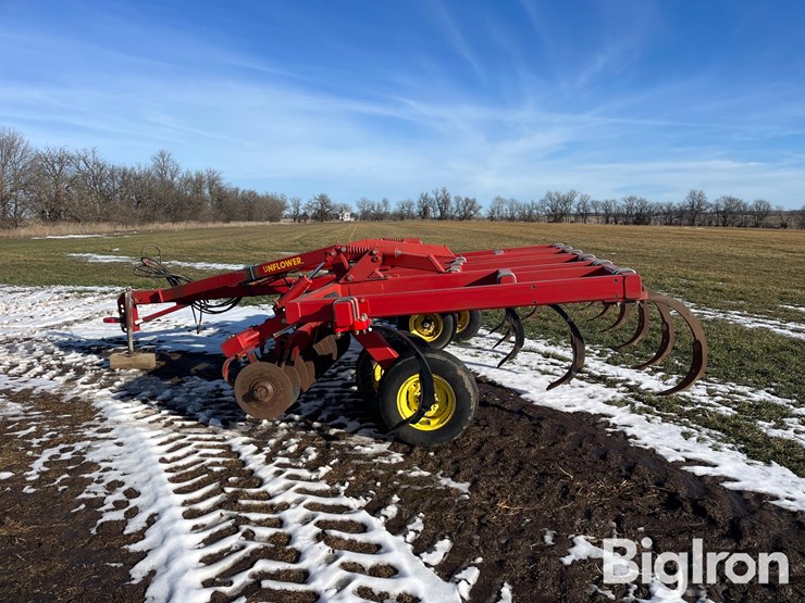 sunflower-4211-14-image-8